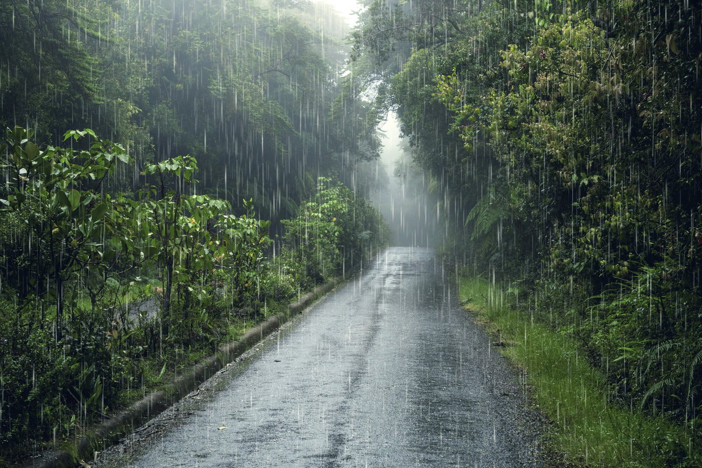 Rainy day street scene in a small North Carolina town