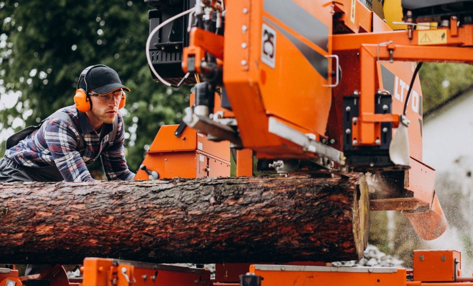 Tree crew trimming a large tree beside a home
